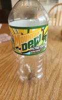 Honeydew