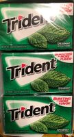 Trident gum spearmint 1x15 pk