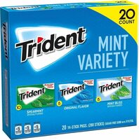 Sugar free gum mint variety piece