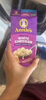 Shells & White Cheddar Macaroni & Cheese