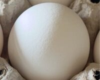Large Grade Aa Eighteen Eggs