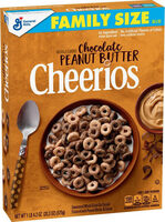 Sweetened whole grain oat cereal flavored with