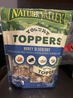 Honey Blueberry Yogurt Toppers