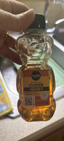 Clover Honey