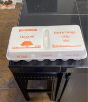 Fresh Grade Aa Extra Large Eggs