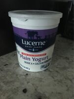 Plain Whole Milk Yogurt