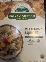 Multi Grain Squares