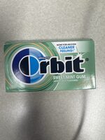 Sweet Mint Gum