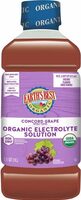 Organic Electrolyte Solution