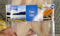 Tilapia fillets