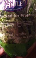 Lettuce