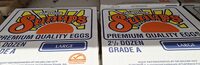 Premium Quailty Eggs