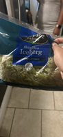 Shredded Iceberg