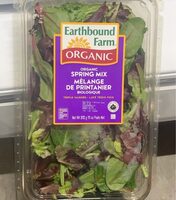 Organic spring mix salad