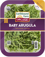 Organic baby arugula