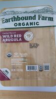 Wild Red Arugula