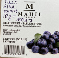 Blueberries (300g approx)