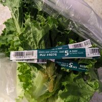Green Leaf Lettuce