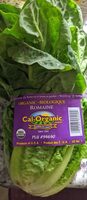 Organic Romaine