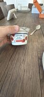 Greek Nonfat Yogurt