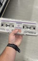 Cage Free Large White Egg