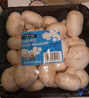 Fresh organic  white  Mushrooms