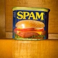 Spam classic