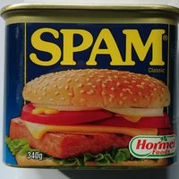 SPAM Classic