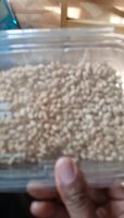 Pine nuts