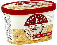 Real Ice Cream