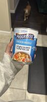 Chicken Noodle