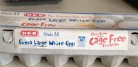 Extra large white eggs