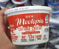 Cottage Cheese Small Curd