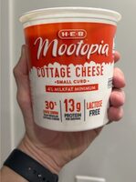 Mootopia Cottage Cheese Small Curd