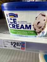 Mint Chocolate Chip Ice Cream