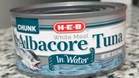 Albacore tuna in water
