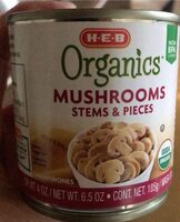 Mushroom Stems & Pieces