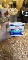 Cottage Cheese Small Curd