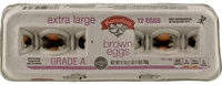 Grade A Extra Large Fresh Brown Eggs