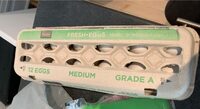Medium Eggs