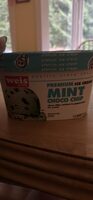 MINT CHOCO CHIP premium ice cream