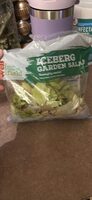 Iceberg Garden Salad