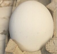 Grade A eggs