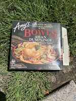 Asian Dumplings in a Savory Hoisin Sauce