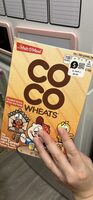 Coco Wheats