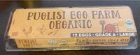 Organic Large Brown Egg