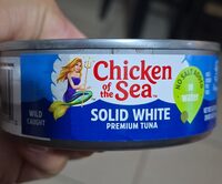 Solid White Albacore Tuna In Water