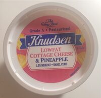 Low Fat Cottage Cheese & Pineapple