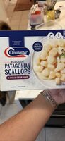 Patagonian Scallops in Garlic Cream Sauce
