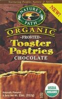 Frosted Lotta Chocolotta Toaster Pastries